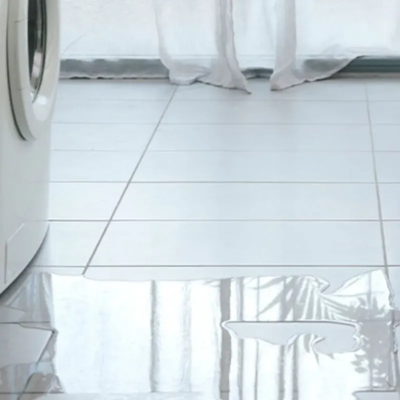 Appliance Leak Cleanup in Clear Lake Riviera, CA