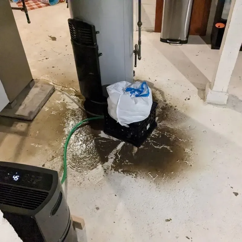 Sewage Backup Cleanup Service in Clear Lake Riviera, CA
